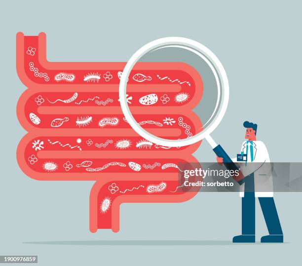 stockillustraties, clipart, cartoons en iconen met magnifying glass - digestive system - male doctor - menselijke darmen