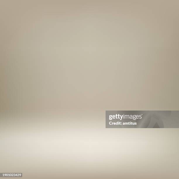 soft studio - fotosession stock-grafiken, -clipart, -cartoons und -symbole