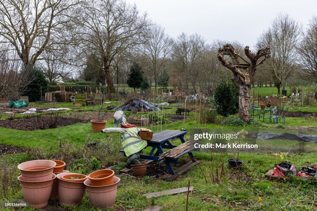 Scarecrow At Allotments Windsor