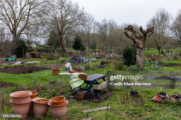 Scarecrow is pictured sat at a table alongside allotments during winter on 4th January 2024 in Windsor, United Kingdom.