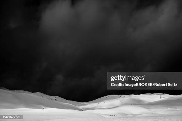 65 Robert Berlinger Stock Photos, HighRes Pictures, and Images Getty