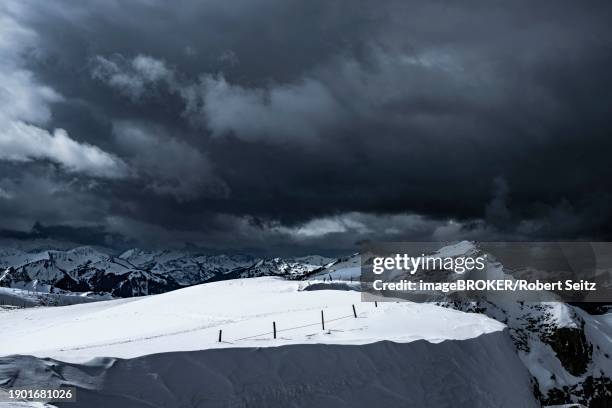 65 Robert Berlinger Stock Photos, HighRes Pictures, and Images Getty