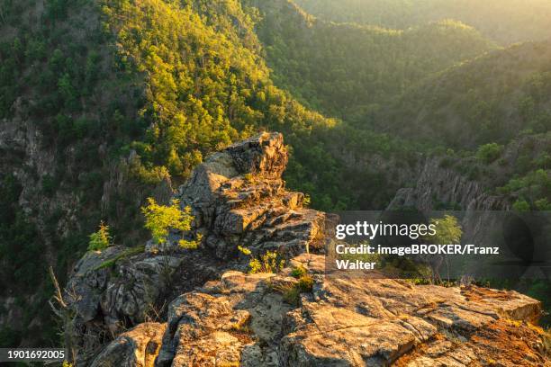 view from the rosstrappe over the bode valley, tahle, harz, saxony-anhalt, germany, thale, saxony-anhalt, germany, europe - saxe anhalt photos et images de collection