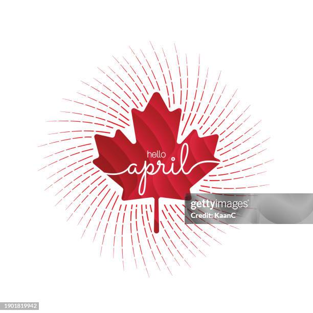 canadian concept, handwritten april month name with a red maple leaf. hello april. april. vector stock illustration. - maple tree in winter stock illustrations
