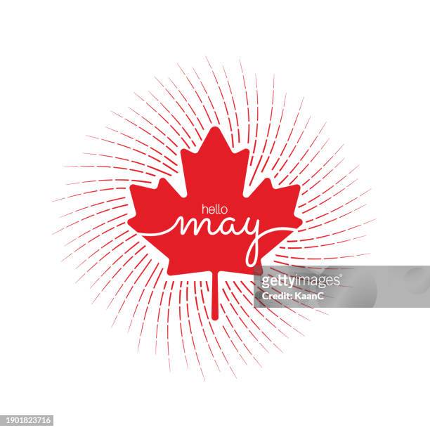 canadian concept, handwritten may month name with a red maple leaf. hello may. may. vector stock illustration. - canadian maple leaf icon stock illustrations