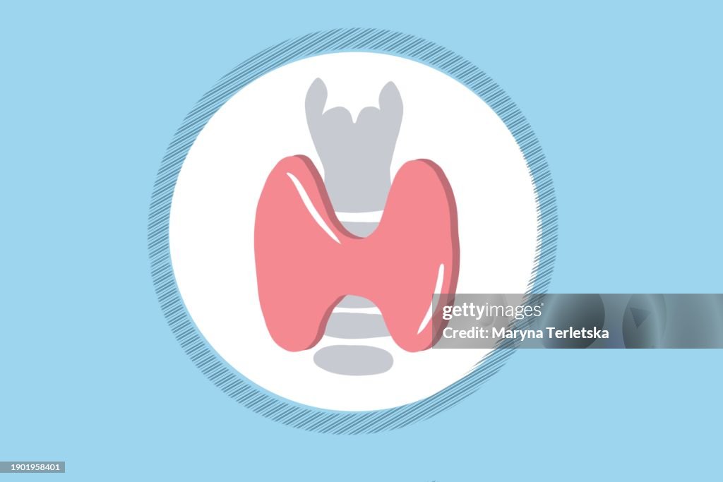 Part of the human body is the thyroid gland. Hormones. Health. Drawing of the inside of a person.