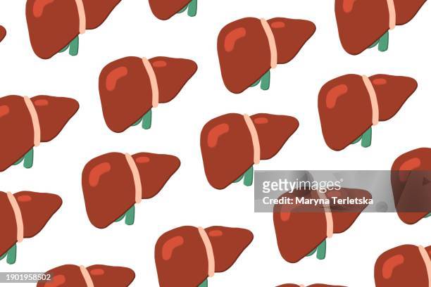 human liver on a light background. human anatomy. human organs. health. healthcare.  an alternative view of human anatomy. - portal vein stock pictures, royalty-free photos & images