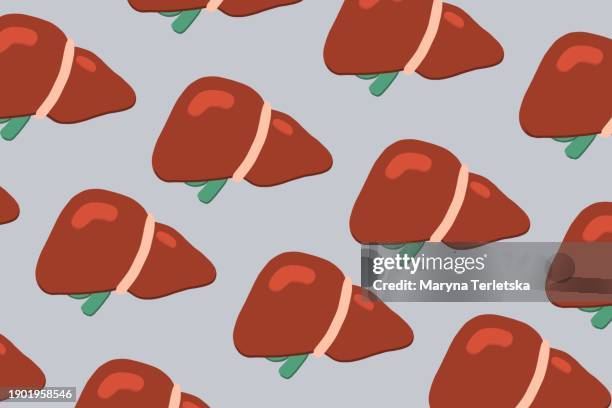 human liver on a light background. human anatomy. human organs. health. healthcare.  an alternative view of human anatomy. - portal vein stock pictures, royalty-free photos & images