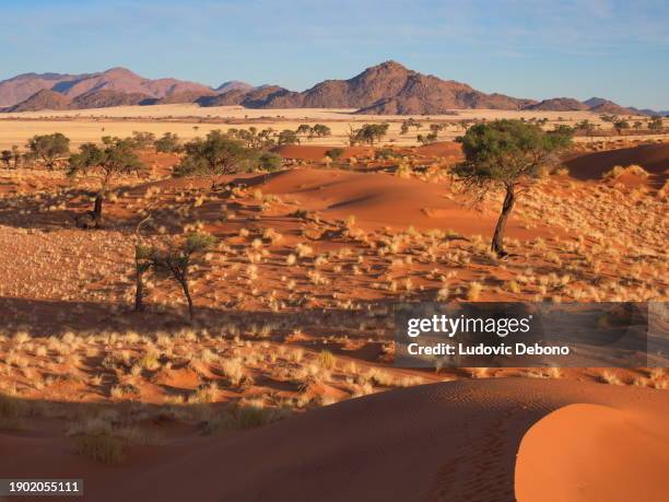desert landscape - namib naukluft national park stock pictures, royalty-free photos & images