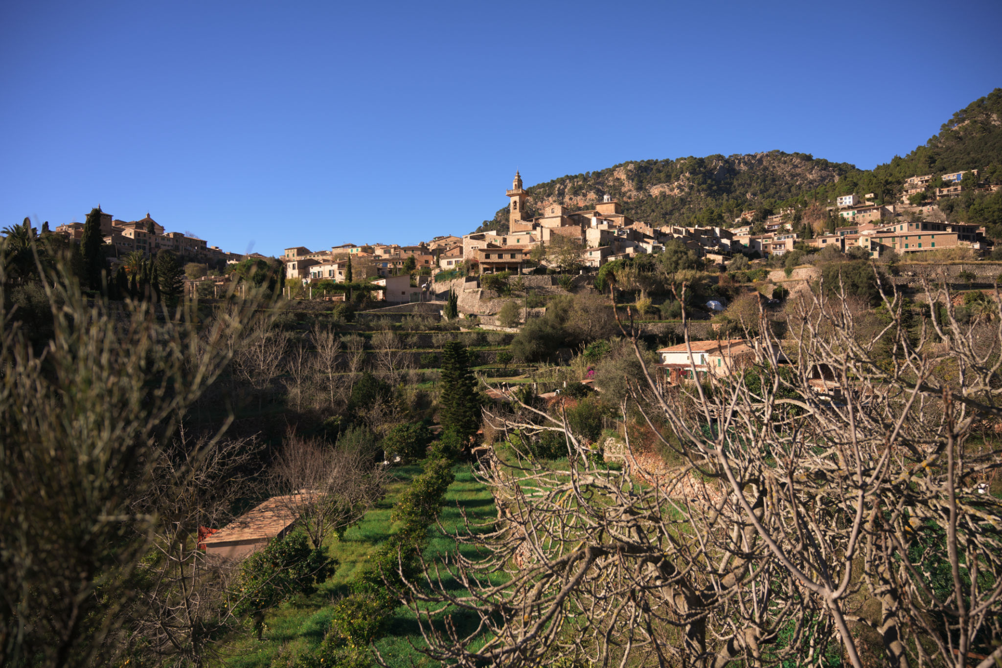 Mallorca winter