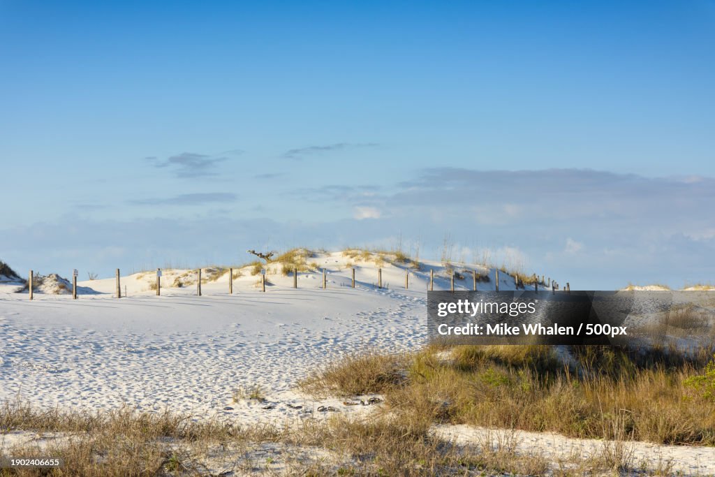 Scenic view of field against blue sky,Destin,Florida,United States,USA