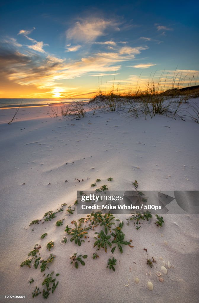 Scenic view of snow covered land against sky during sunset,Okaloosa Island,Florida,United States,USA