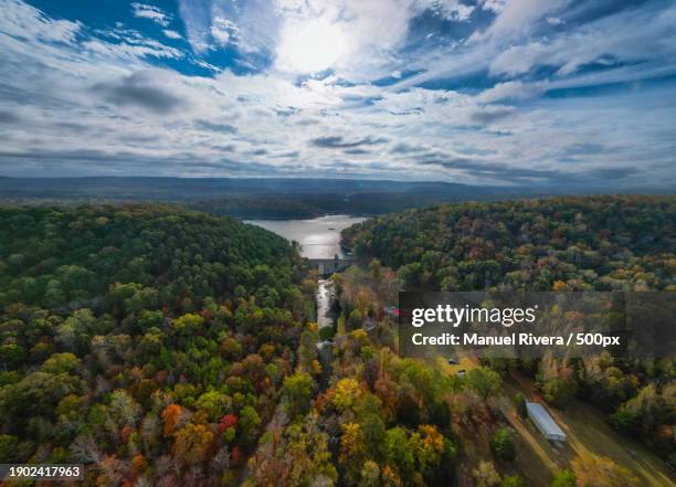 high angle view of trees and plants against sky,birmingham,alabama,united states,usa - birmingham alabama stock-fotos und bilder