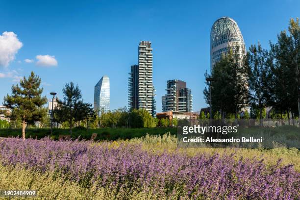 blooms and skyscrapers at porta nuova business district, milan, italy, europe - tall poppy stock pictures, royalty-free photos & images