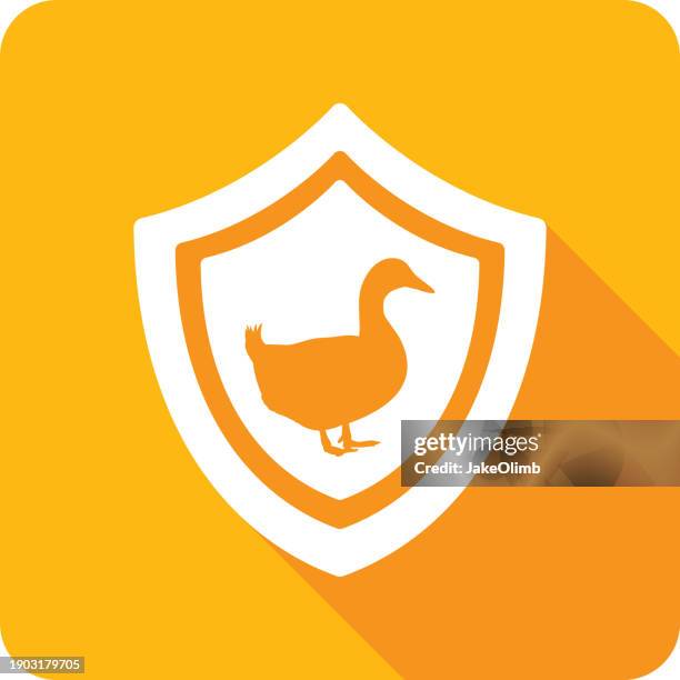 shield duck icon silhouette 2 - wilderness badge stock illustrations