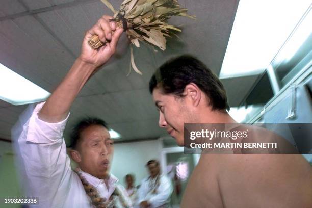 Shaman does a purification with medicinal plantson a journalist, during an exhibition in Quito, 31 October 2000.AFP PHOTO/Martin BERNETTI Un chaman...