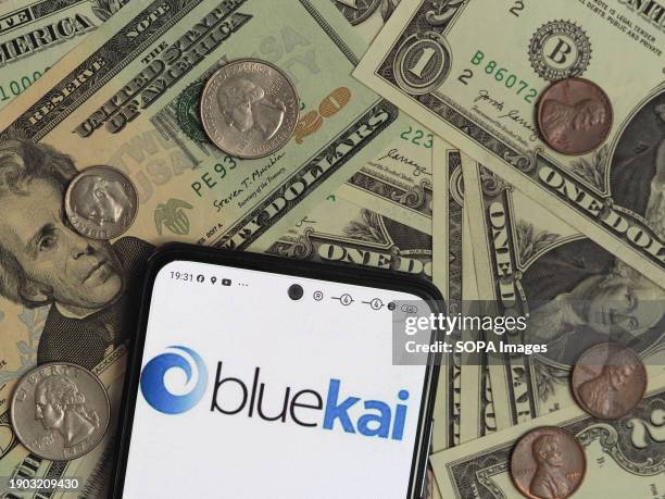 Bluekai Razor In this photo illustration, an Oracle BlueKai logo seen displayed on ...