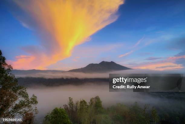 morning glory - natural phenomena stock pictures, royalty-free photos & images