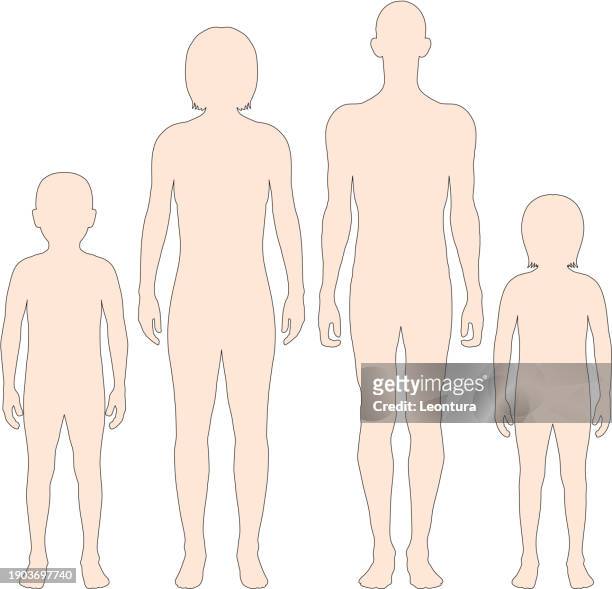 the human body - family tree chart stock illustrations