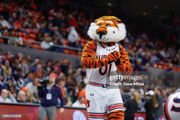 Auburn Tigers mascot Aubie entertains the crowd prior to a game between the Pennsylvania Quakers and Auburn Tigers at Neville Arena on January 2,...