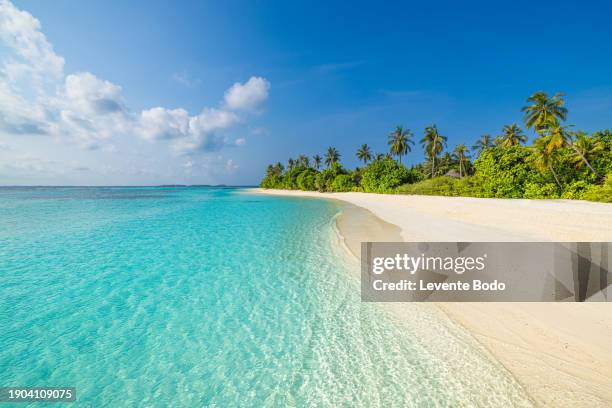 tropical paradise, beach resort coastline with palm trees over calm blue sea waves. sunny exotic nature landscape. maldives amazing lagoon with calm ripples. best popular summer holiday design - maldives stock pictures, royalty-free photos & images
