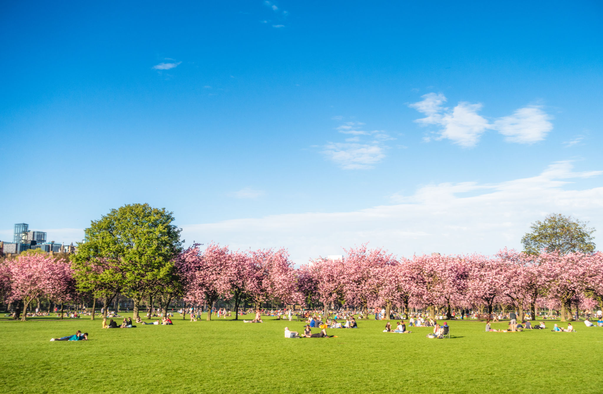 edinburgh park