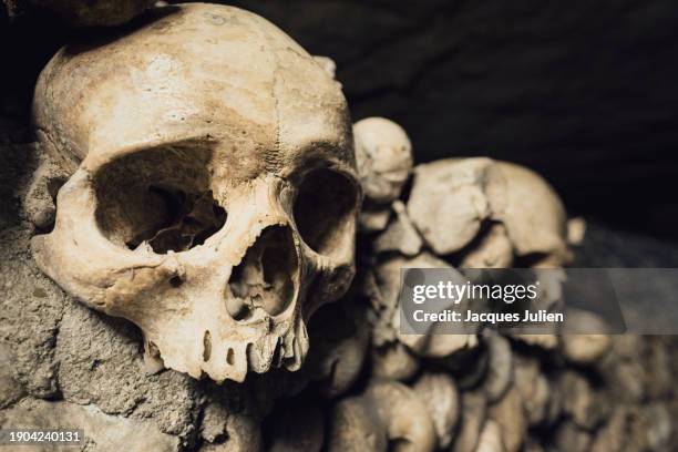 catacombes of paris - human bone stock pictures, royalty-free photos & images