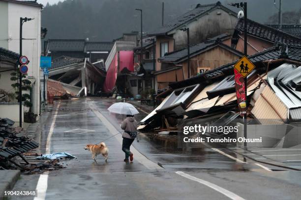 Woman walks with a dog near collapsed houses following an earthquake on January 03, 2024 in Anamizu, Japan. A series of major earthquakes have...
