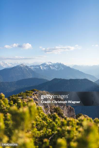 gebirgslandschaft - état fédéré du tyrol photos et images de collection