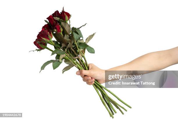 Handing Out Roses 5,540 Hand Holding Roses Stock Photos, High-Res Pictures, and Images ...