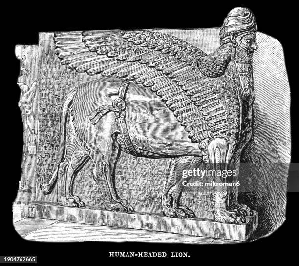 old engraved illustration of lamassu (lama, lamma, or lamassu) an assyrian protective deity - in assyrian times as a hybrid of a human, bird, and either a bull or lion having a human head - mesopotamian stock pictures, royalty-free photos & images