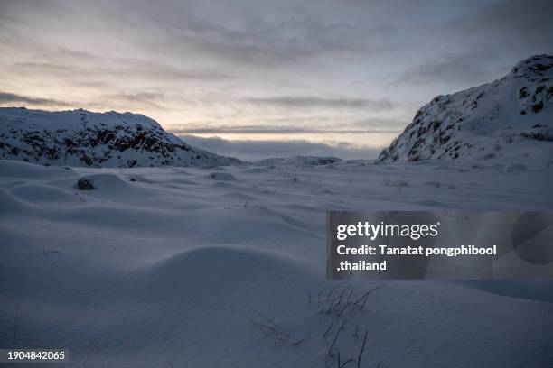 coast of the barents sea. teriberka. russia march - murmansk stock pictures, royalty-free photos & images