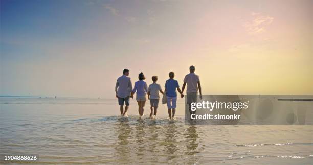 multi generation family walking on beach - com os pés na água imagens e fotografias de stock