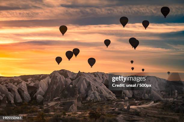 low angle view of hot air balloons flying against sky during sunset - hot air ballon foto e immagini stock