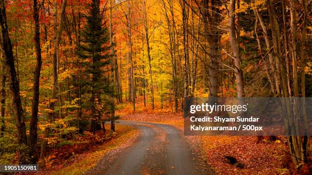empty road amidst trees in forest during autumn,vermont,united states,usa - vermont stock pictures, royalty-free photos & images