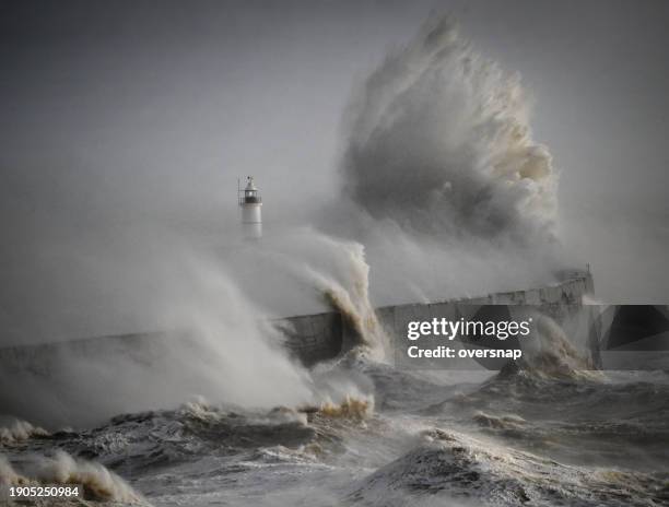 neptune roars - harde wind stockfoto's en -beelden