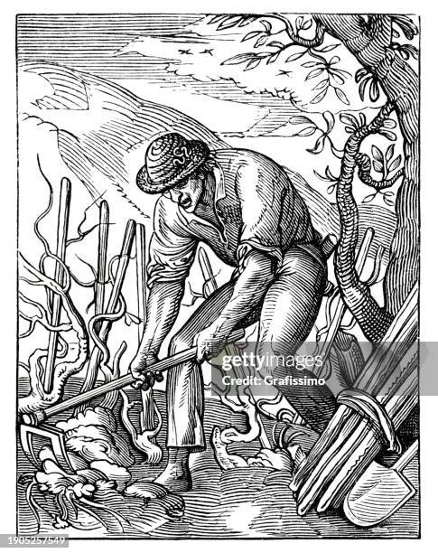 farmer working in vineyard woodcut 16th century illustration - vineyard painting stock illustrations