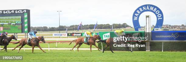 Crackle 'N' Burn ridden by Billy Egan wins the South West Tools & Industrial Maiden Plate at Warrnambool Racecourse on January 07, 2024 in...