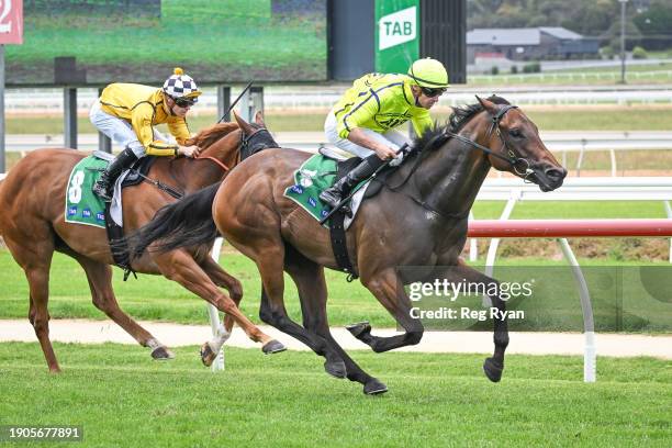 Crackle 'N' Burn ridden by Billy Egan wins the South West Tools & Industrial Maiden Plate at Warrnambool Racecourse on January 07, 2024 in...