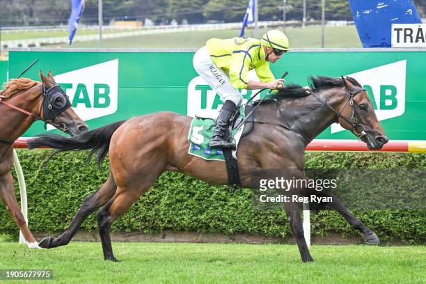 Crackle 'N' Burn ridden by Billy Egan wins the South West Tools & Industrial Maiden Plate at Warrnambool Racecourse on January 07, 2024 in...