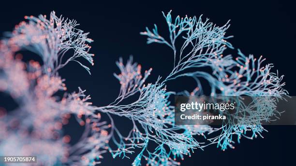 growth - neurone photos et images de collection