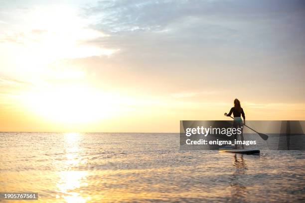 giovane donna che nuota sulle tavole da sup da sola al tramonto - remo foto e immagini stock