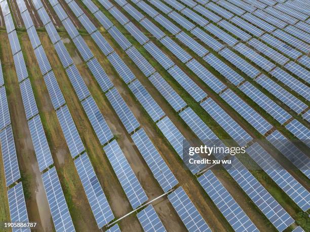 aerial photography of solar power plant on rice fields - 浙江省 - fotografias e filmes do acervo