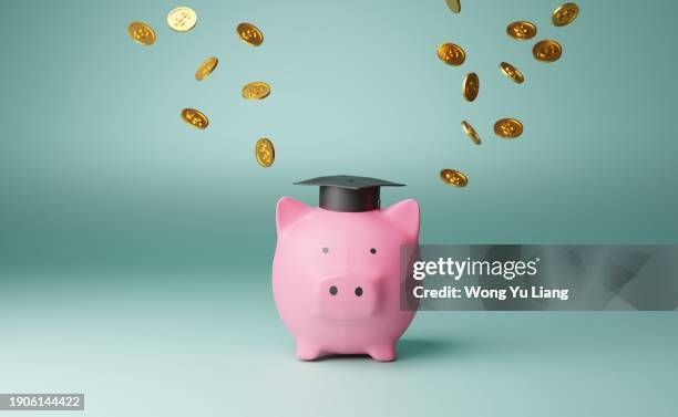 student loan and piggy bank concept - scholarship money stock pictures, royalty-free photos & images