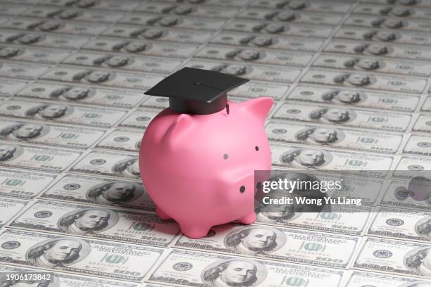 student loan piggy bank with a lot of money - studiengebühren stock-fotos und bilder
