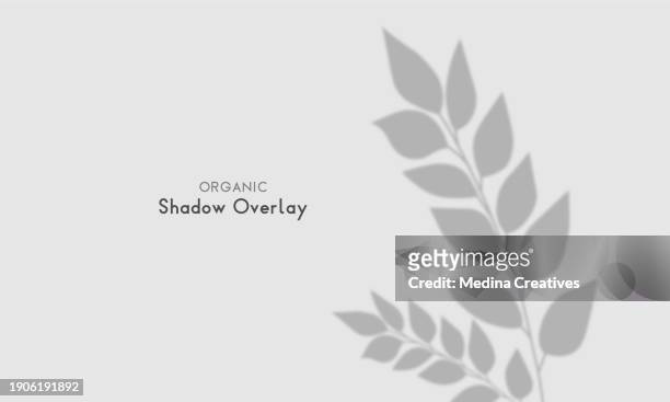 transparent background with leaves shadow  effect - horizontal blinds stock illustrations