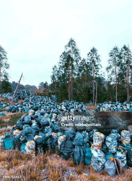 scenes of outdoor trash heaps paint a dire picture for the environment - miss world stock pictures, royalty-free photos & images