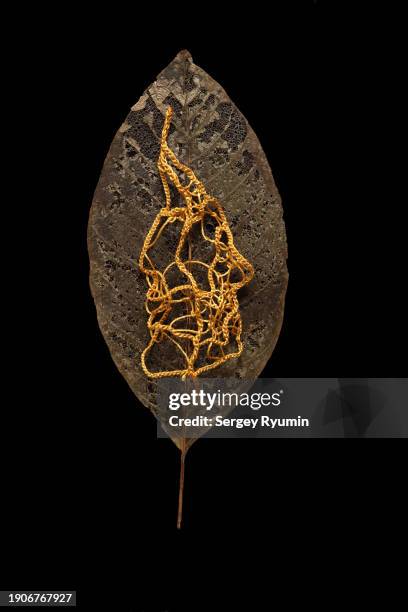 skeleton leaf and crochet leaf on black background - sewing thread stock pictures, royalty-free photos & images