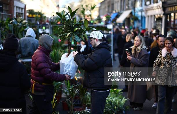 Pot plant is bagged after being purchased at Columbia Road Flower Market, in east London on January 7, 2024.