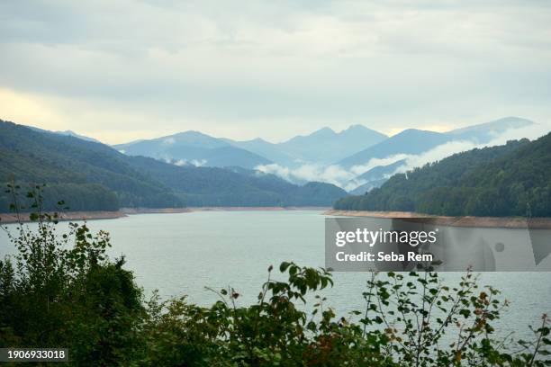 natural splendor of lake vidraru on the transfagarashan route - romania bear stock pictures, royalty-free photos & images